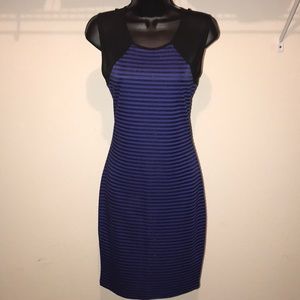 Black & Blue Dress